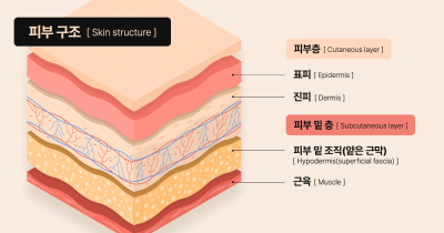 [에이비성형외과] 자가진피, 후회없는 코성형 보형물을 선택하기 위한 방법